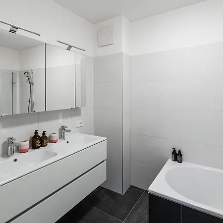 Apartment Traunkai *