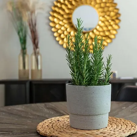 Διαμέρισμα Traunkai - Your Austrian